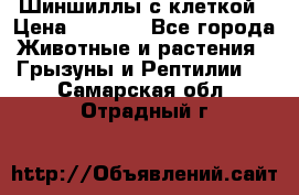 Шиншиллы с клеткой › Цена ­ 8 000 - Все города Животные и растения » Грызуны и Рептилии   . Самарская обл.,Отрадный г.